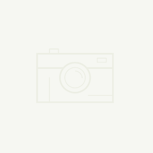 同期展会